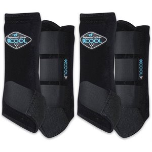 BOTTE PROFESSIONAL'S CHOICE 2XCOOL PAQUET DE 4