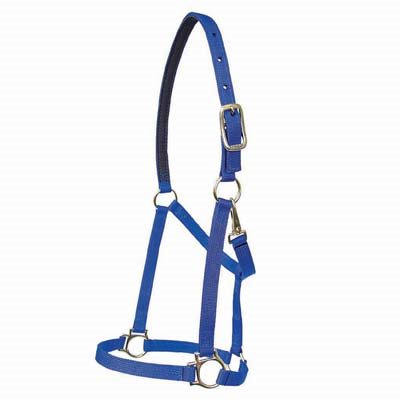 WALSH VICTORY HALTER HORSE NAVY #7