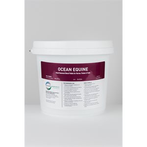 LOZANA OCEAN QUINE 3KG(6.6LBS)